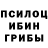 Галлюциногенные грибы мицелий King YouTude