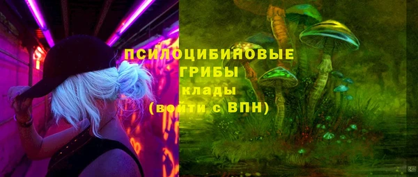 a pvp Аркадак